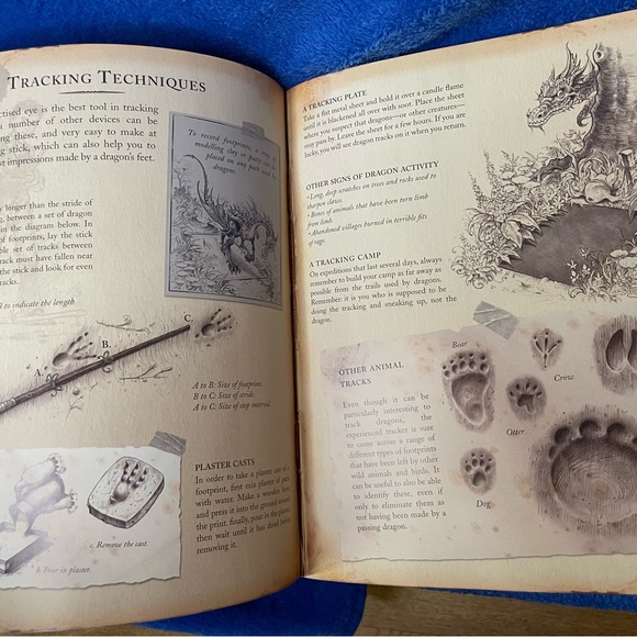 NEW 2006 Dragonology, Tracking & Taming Dragons. A Deluxe Book & Model Set. - Picture 4 of 8